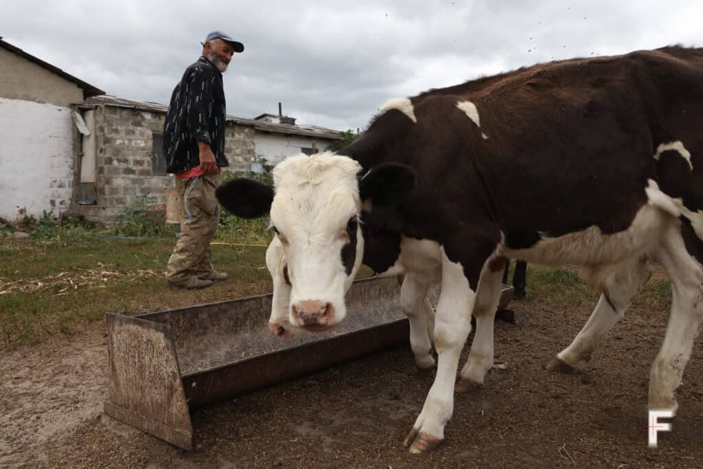 Farmers in war-torn Kharkiv region face economic battlefield