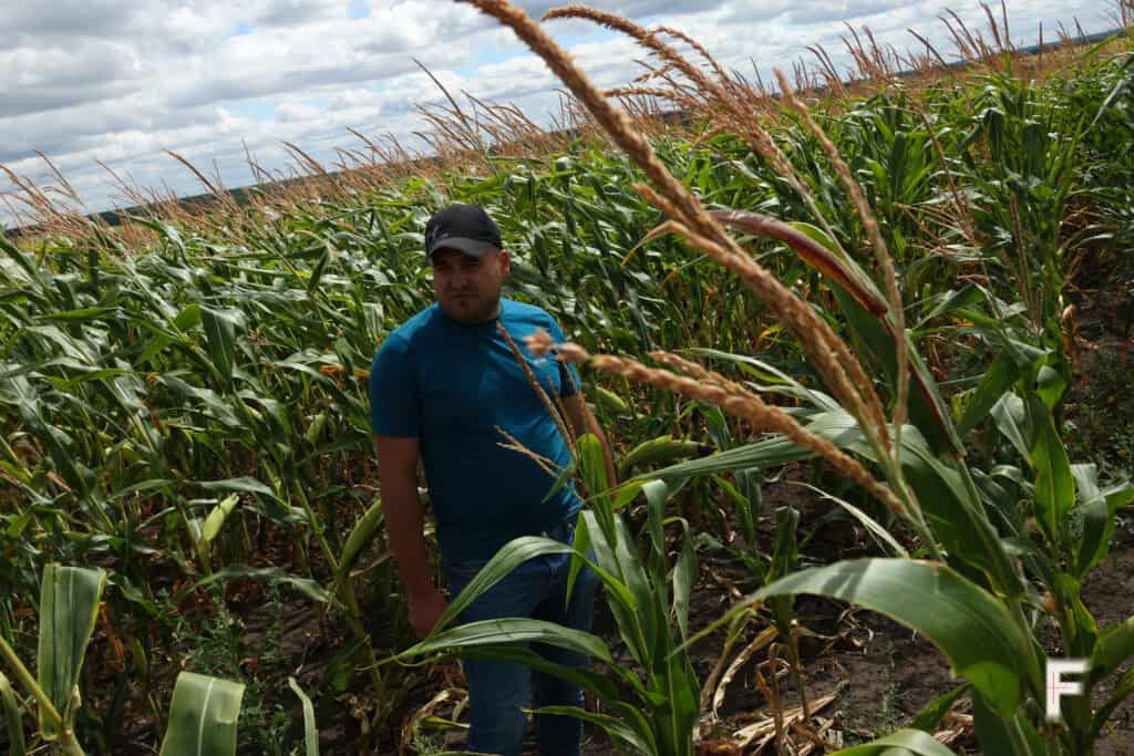 Farmers in war-torn Kharkiv region face economic battlefield